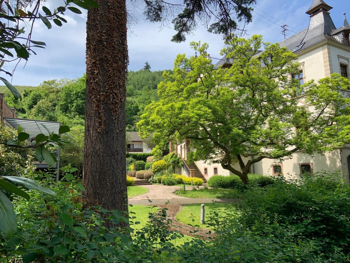 Fewo Schieferjuwel 1 Og Weingut Ca-Haussmann Apartamento Traben-Trarbach Exterior foto